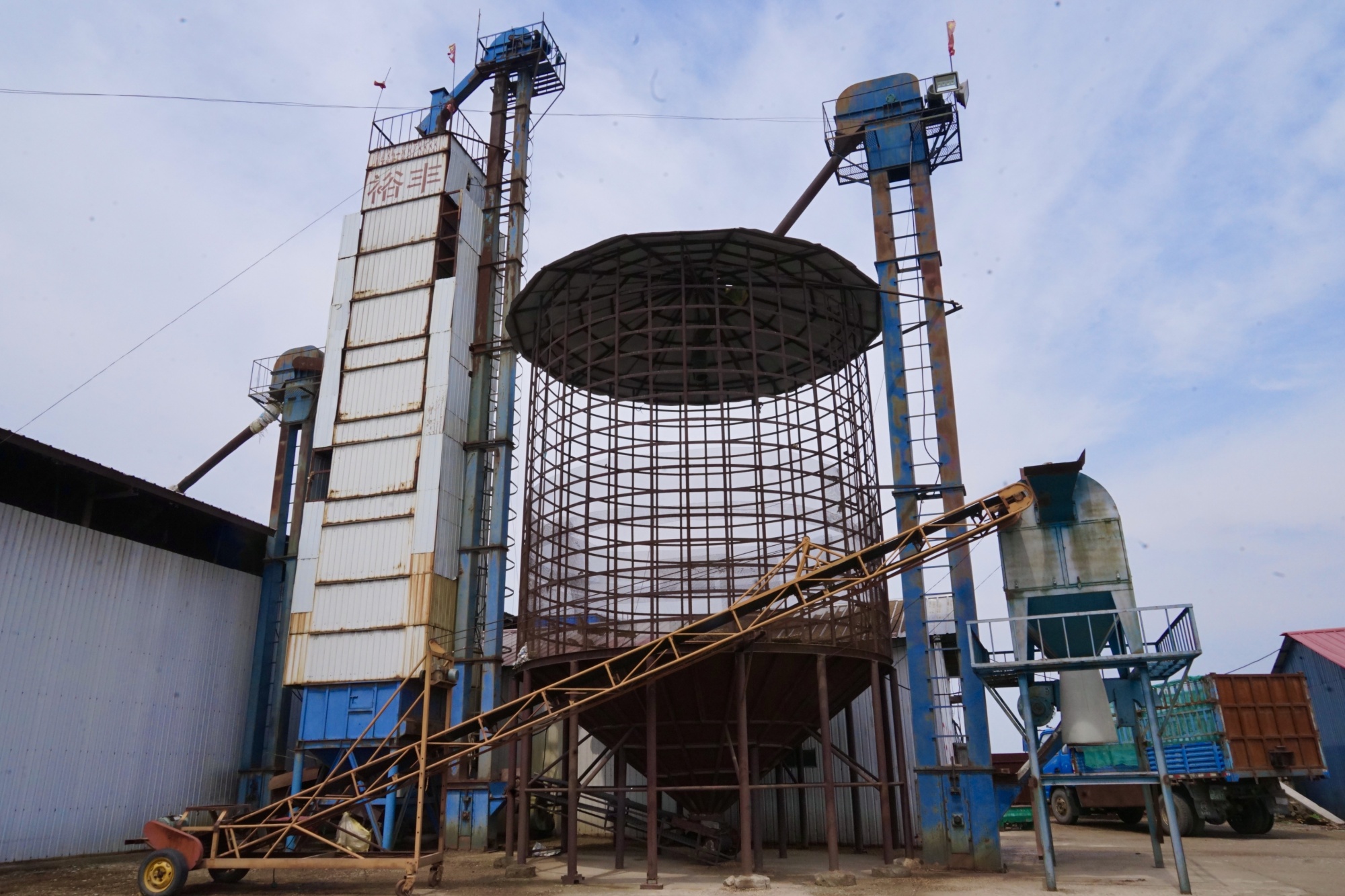 最美巾帼卖粮人朱海霞 以粮为媒，铺就乡村振兴致富路