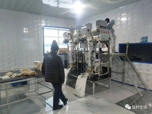 深耕粮仓，匠心筑梦——参观章书记粮食加工厂的所见所感