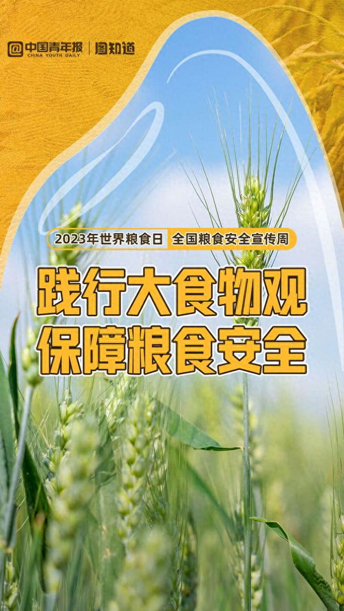 世界粮食日 从“吃得饱”到“吃得好”，探秘新时代“大食物观”
