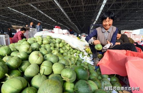 优质优价 以消费者信任为核心的农产品质量发展路径