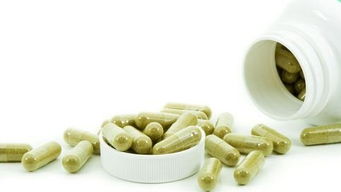 微博上的“般若智慧德相”与粮食话题 一场关于生活与哲思的对话