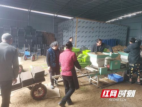 支部带头办工厂，濂南粮食有保障——道县濂南村探索乡村产业与粮食安全协同发展新路